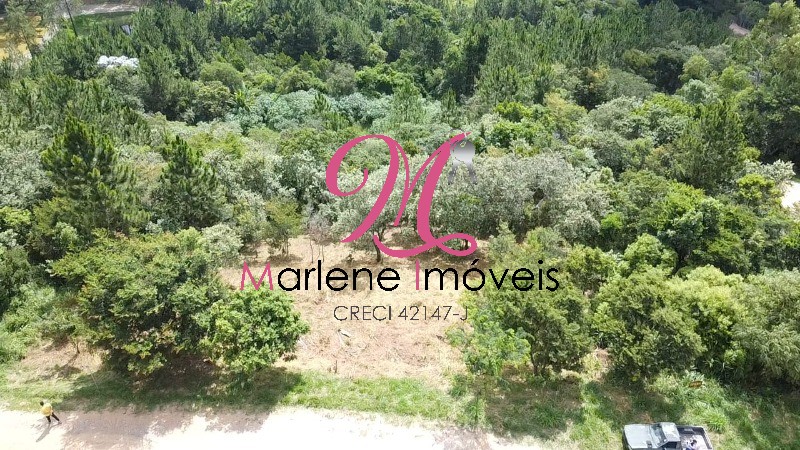 Terreno - Foto 6
