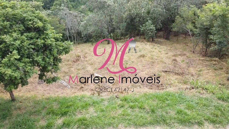 Terreno - Foto 2