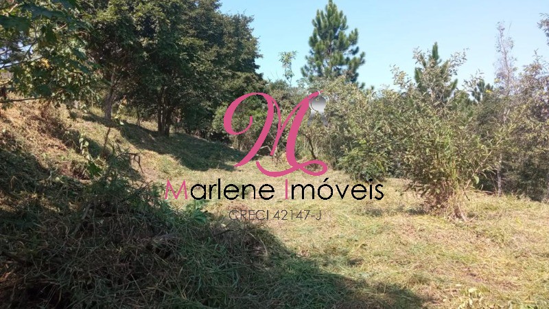 Terreno - Foto 5