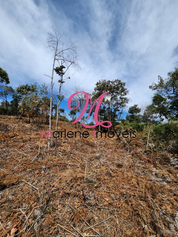 Terreno - Foto 1