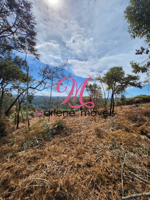 Terreno - Foto 4