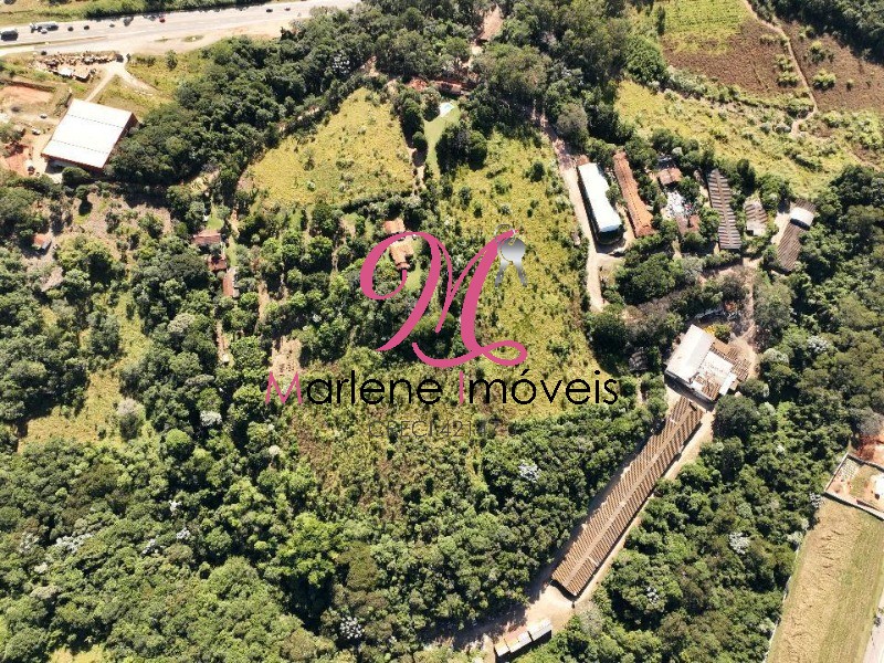 Terreno - Foto 4