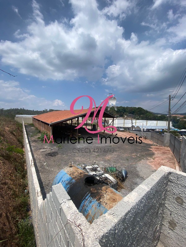 Depósito-Galpão - Foto 5