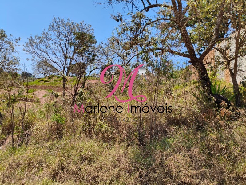 Terreno - Foto 9