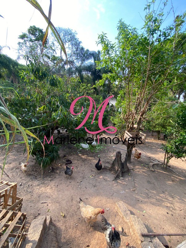 Chácara, 2 quartos - Foto 6