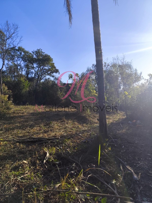 Terreno - Foto 4