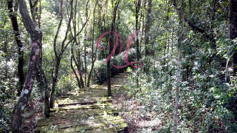 Terreno - Foto 10
