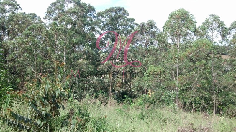 Terreno - Foto 18