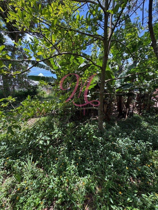 Terreno - Foto 1