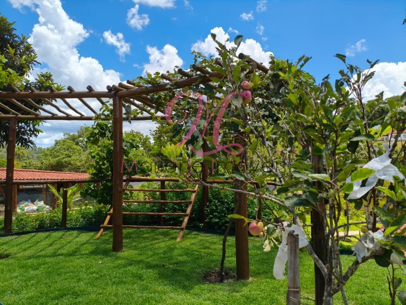 Chácara, 5 quartos - Foto 32