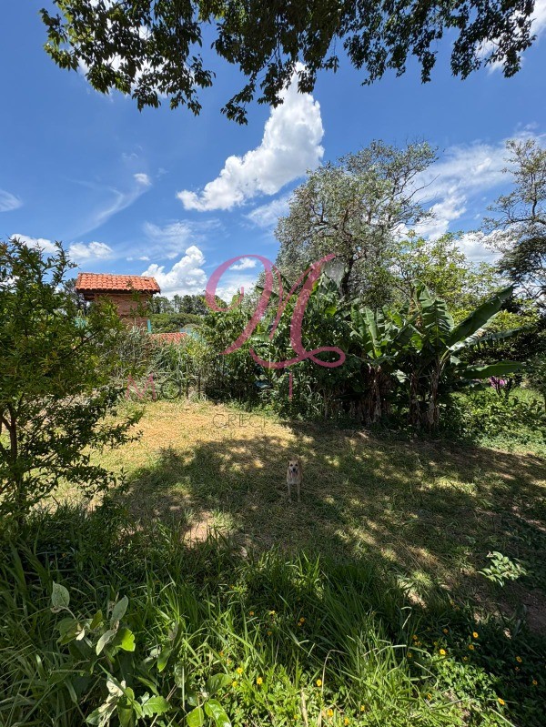 Terreno - Foto 3