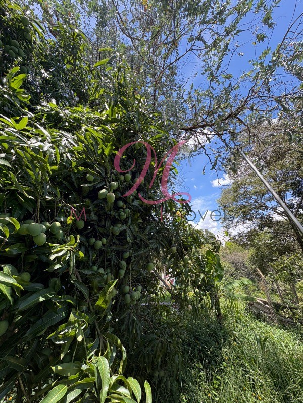 Terreno - Foto 6