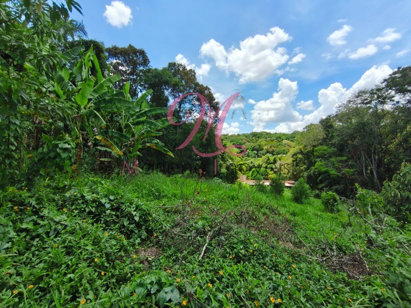 Terreno - Foto 8