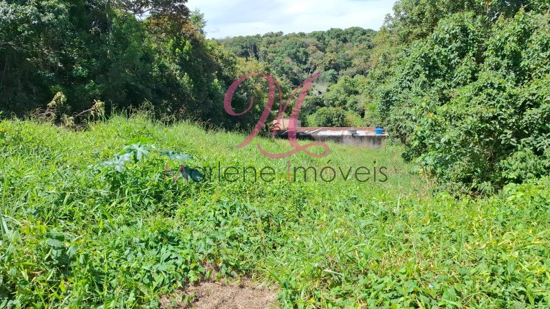 Terreno - Foto 4