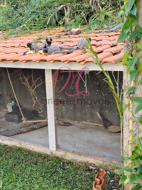 Chácara, 5 quartos - Foto 6