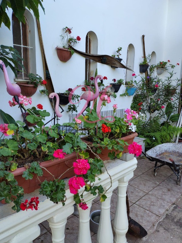 Chácara, 5 quartos - Foto 39