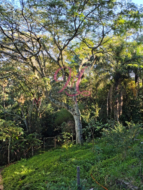 Chácara, 5 quartos - Foto 12