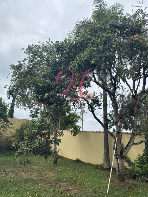 Chácara, 5 quartos - Foto 5