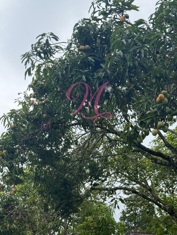 Chácara, 5 quartos - Foto 15