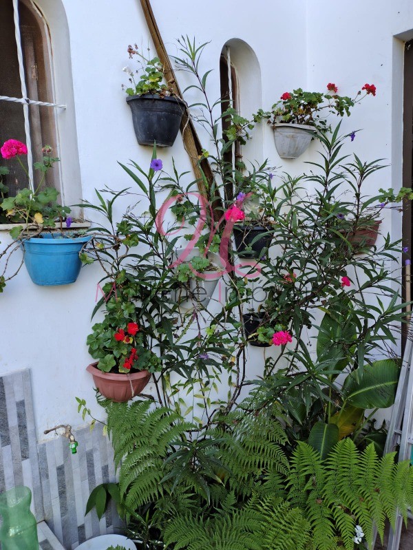 Chácara, 5 quartos - Foto 40
