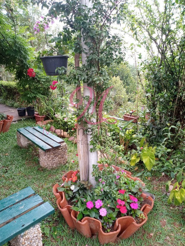Chácara, 5 quartos - Foto 20