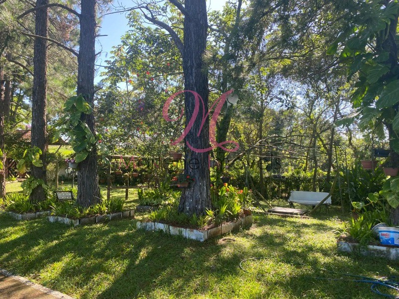 Chácara, 3 quartos - Foto 4