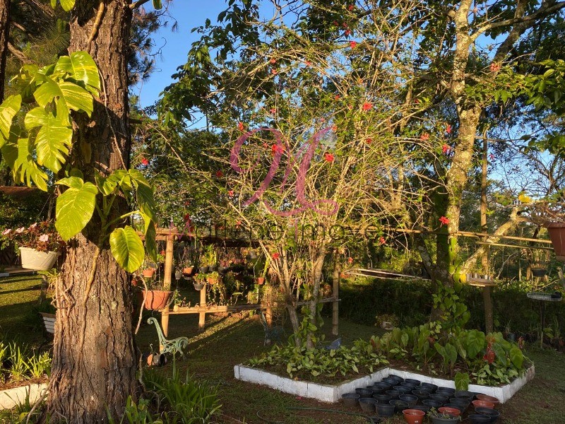 Chácara, 3 quartos - Foto 11