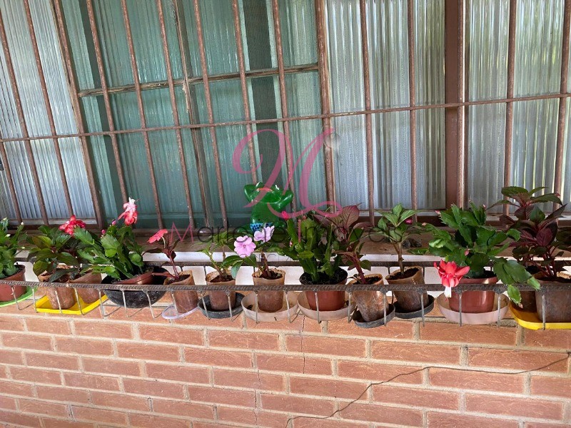 Chácara, 3 quartos - Foto 34