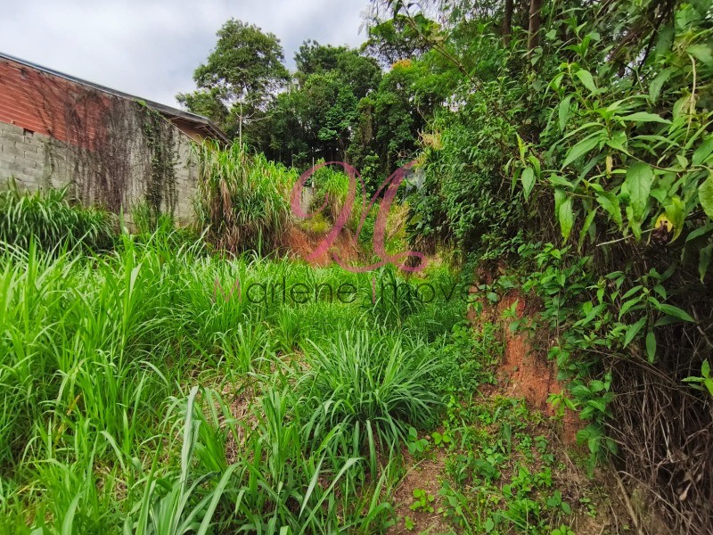 Terreno - Foto 2