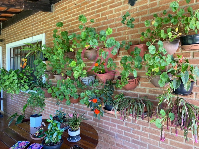 Chácara, 3 quartos - Foto 18