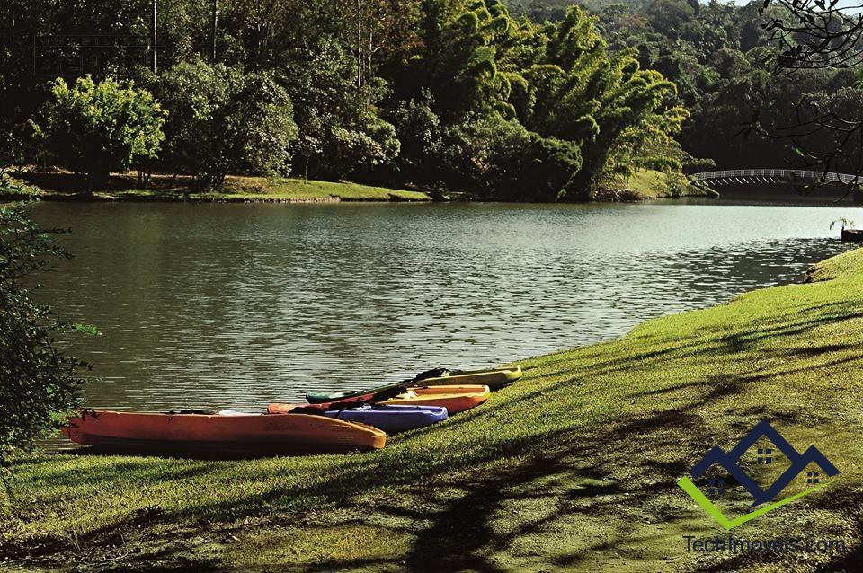 Terreno, 3039 m² - Foto 7