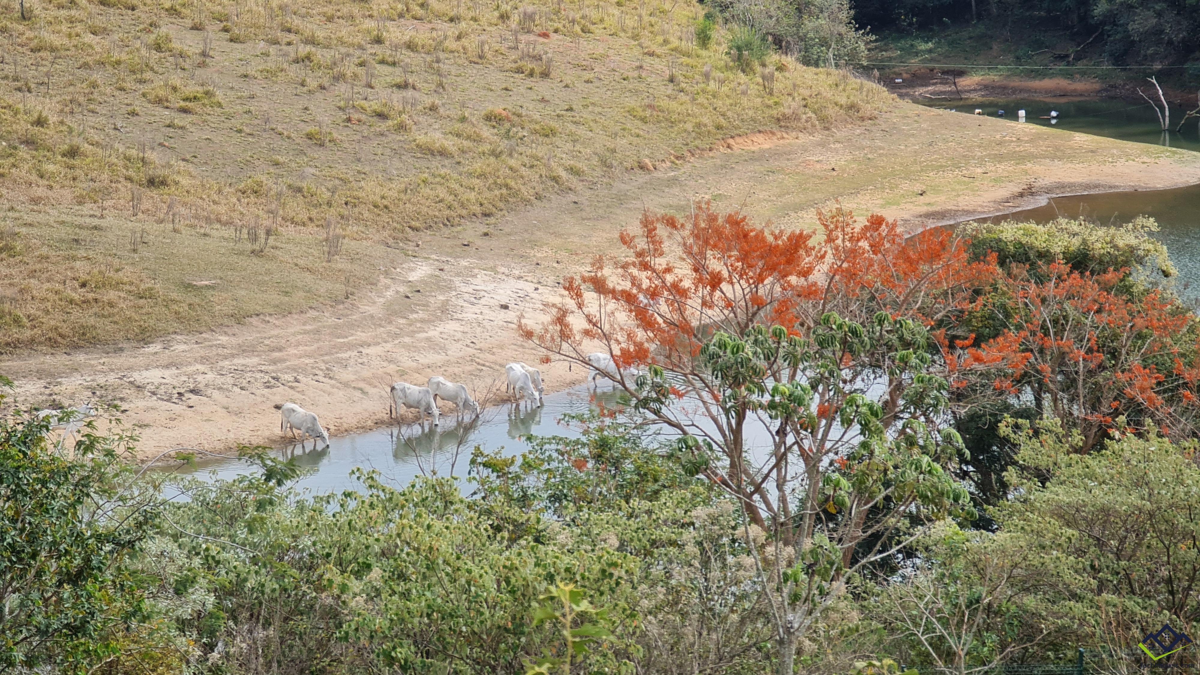 Terreno à venda, 800m² - Foto 14