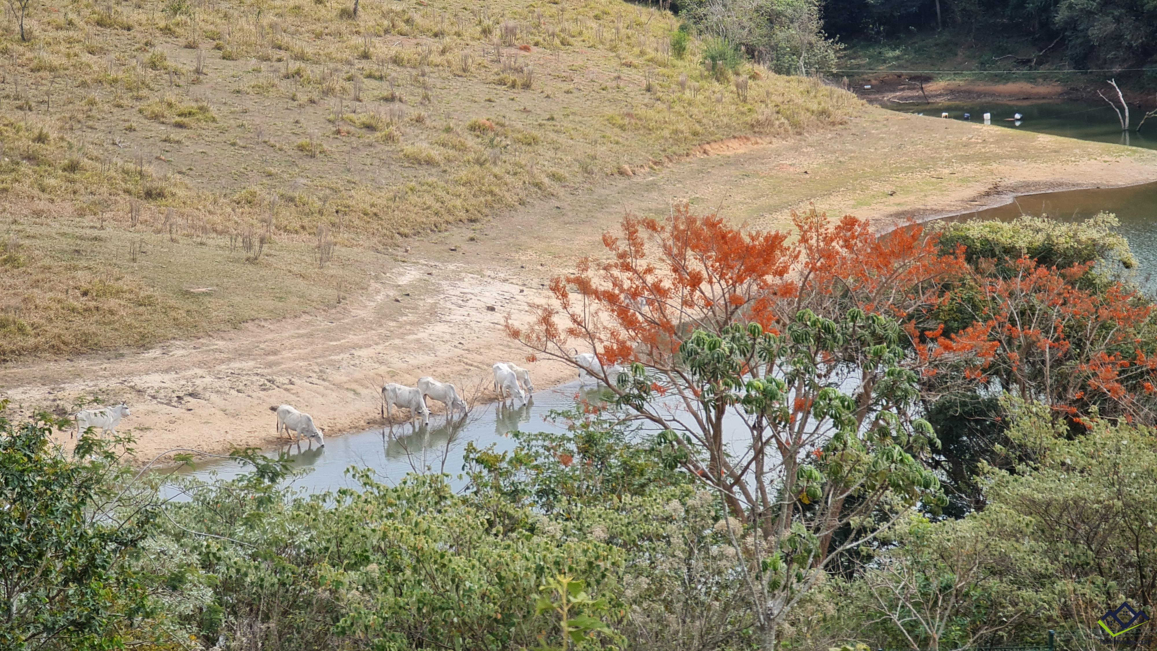 Terreno, 893 m² - Foto 16