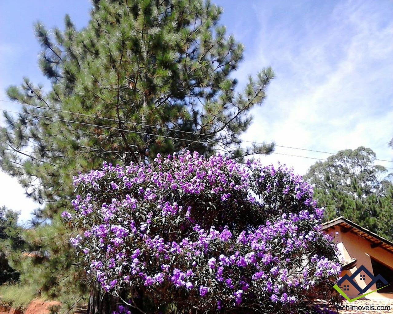 Casa, 4 quartos - Foto 60