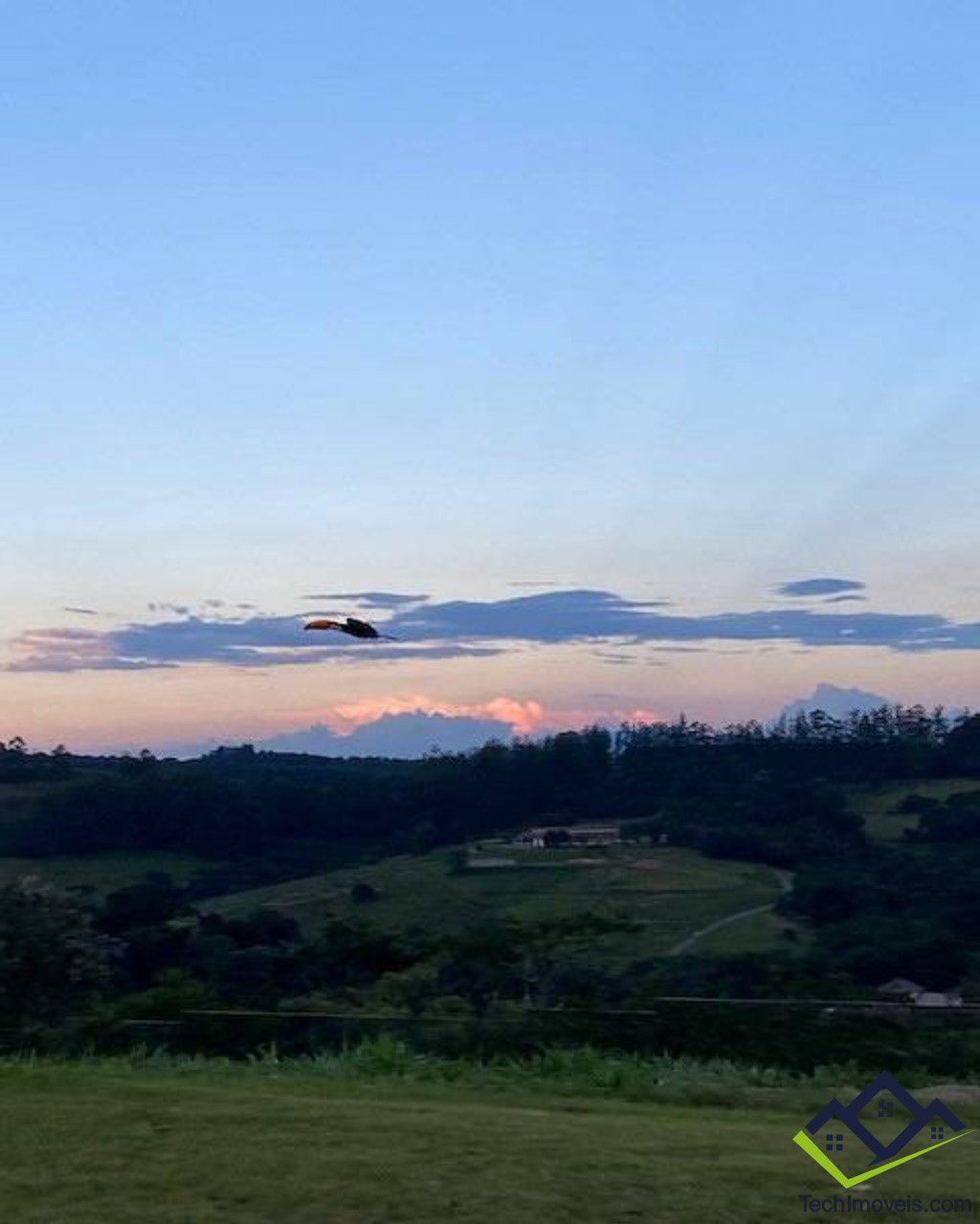 Terreno, 1471 m² - Foto 10