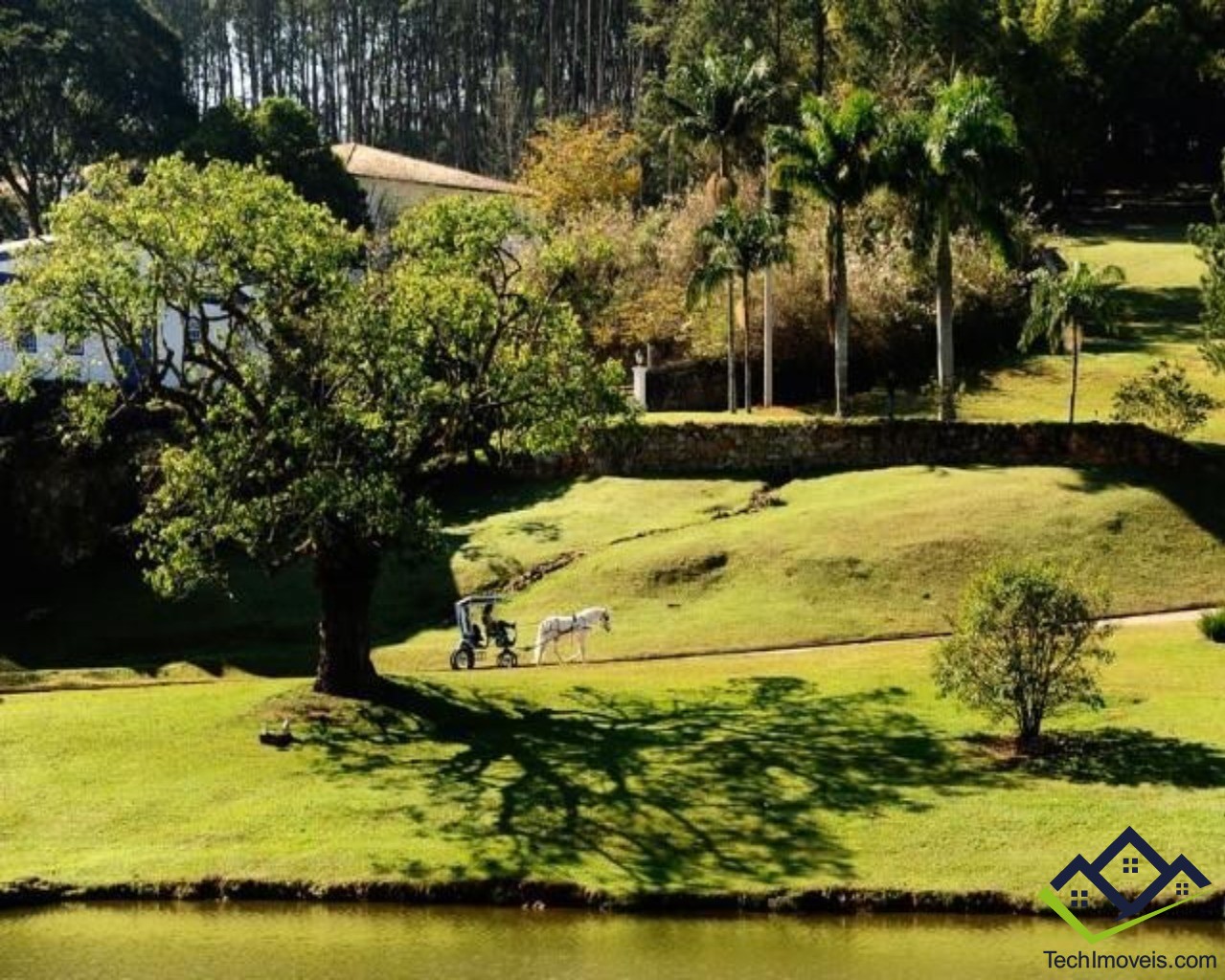 Terreno à venda, 1000m² - Foto 6