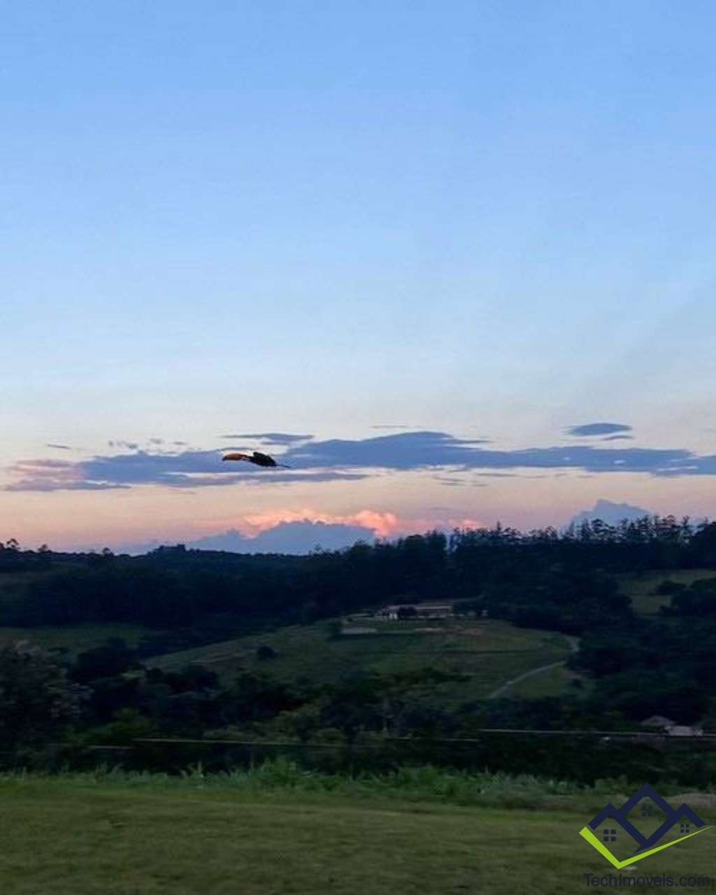 Terreno, 3325 m² - Foto 9