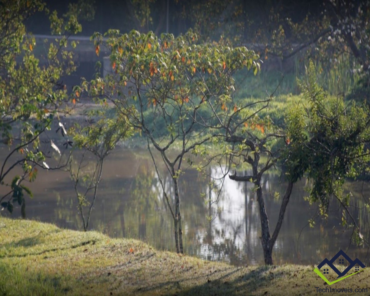 Terreno, 300 m² - Foto 5