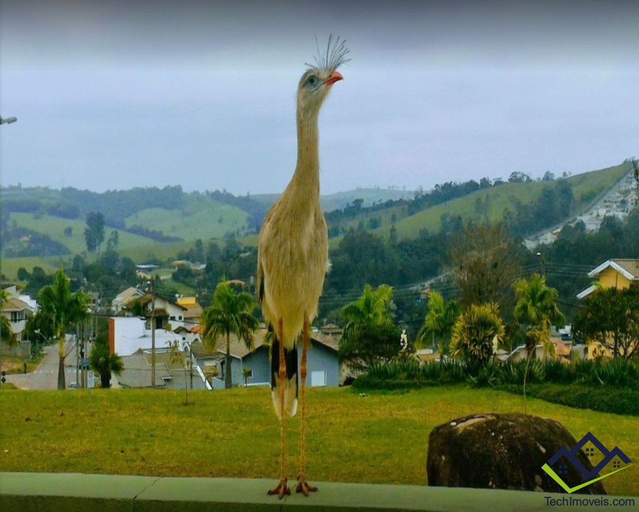 Terreno, 450 m² - Foto 7