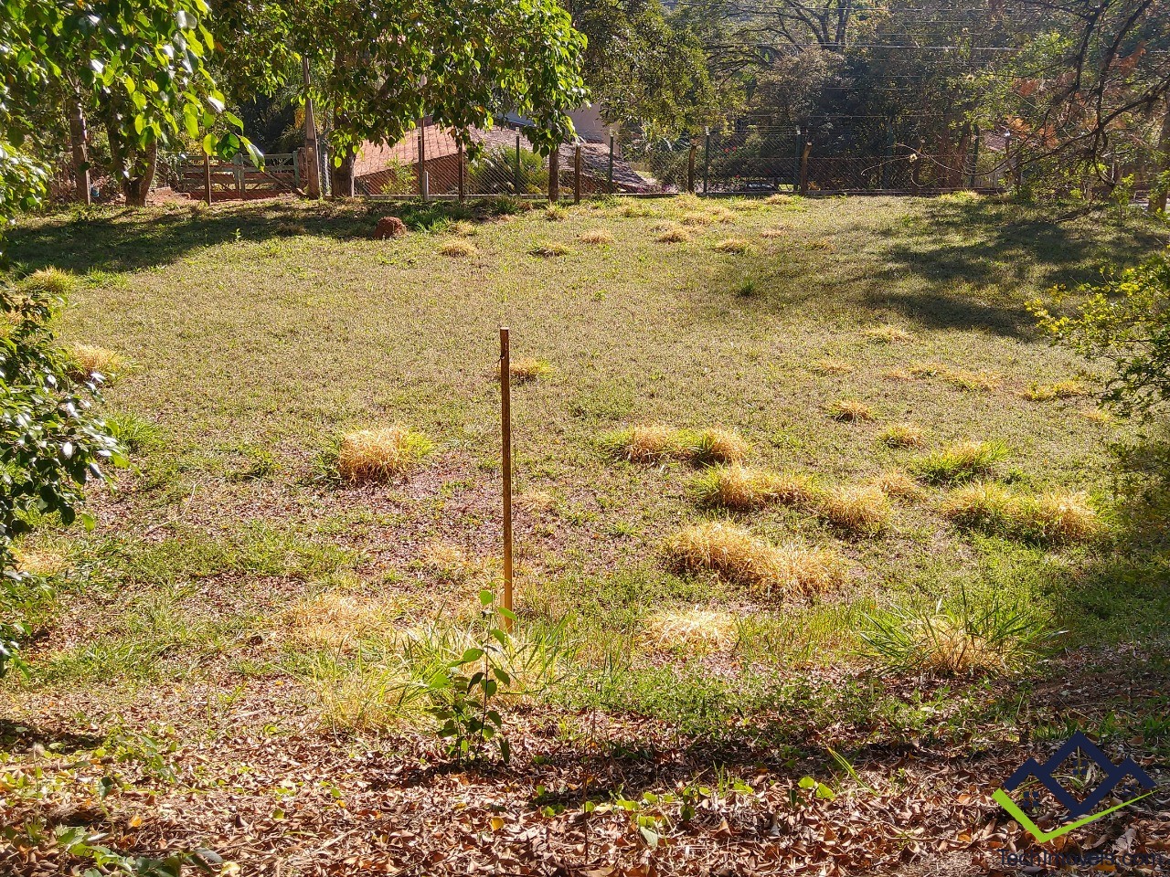 Chácara à venda com 3 quartos, 6000m² - Foto 24