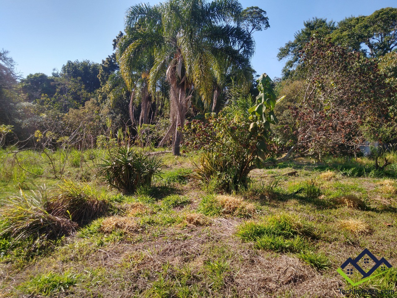 Chácara à venda com 3 quartos, 6000m² - Foto 74