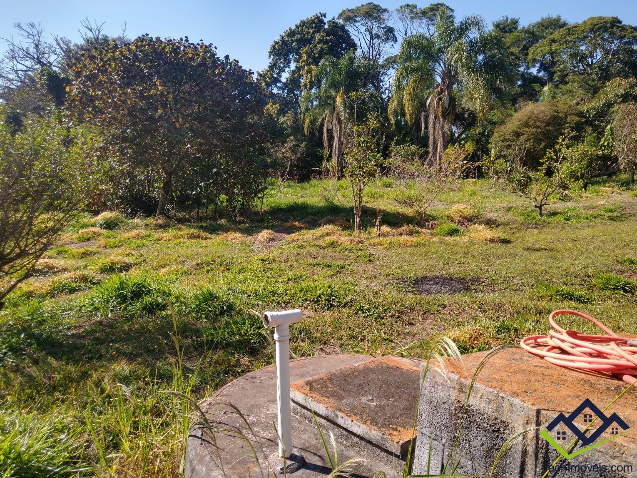 Chácara à venda com 3 quartos, 6000m² - Foto 66