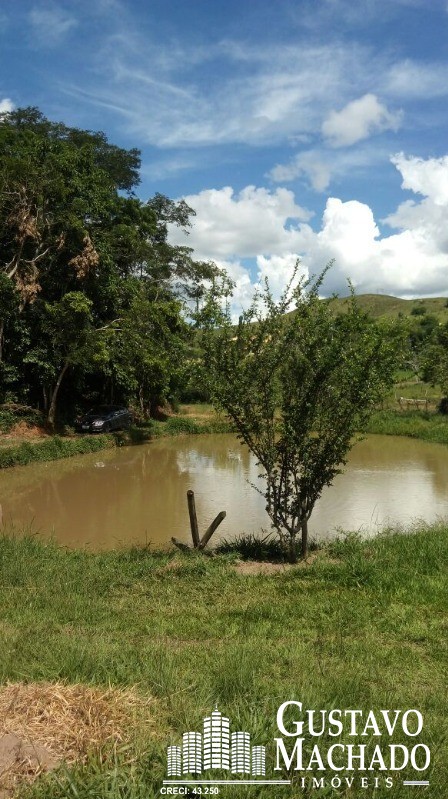 Terreno à venda, 15000m² - Foto 1