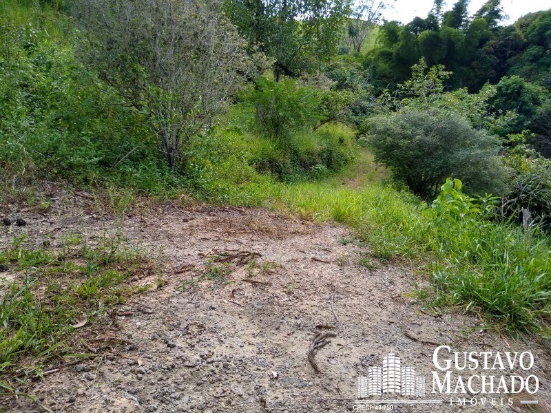 Terreno à venda, 19200m² - Foto 8