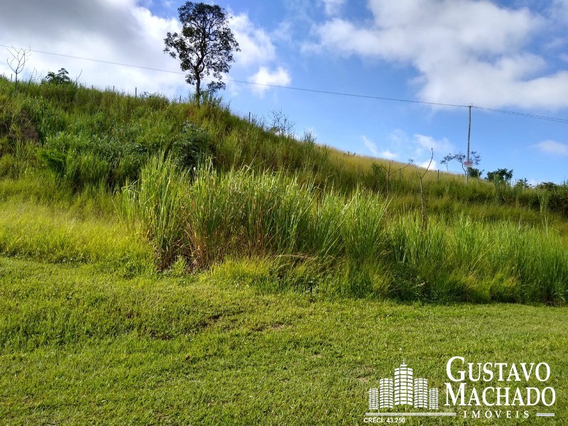 Terreno à venda, 19200m² - Foto 3