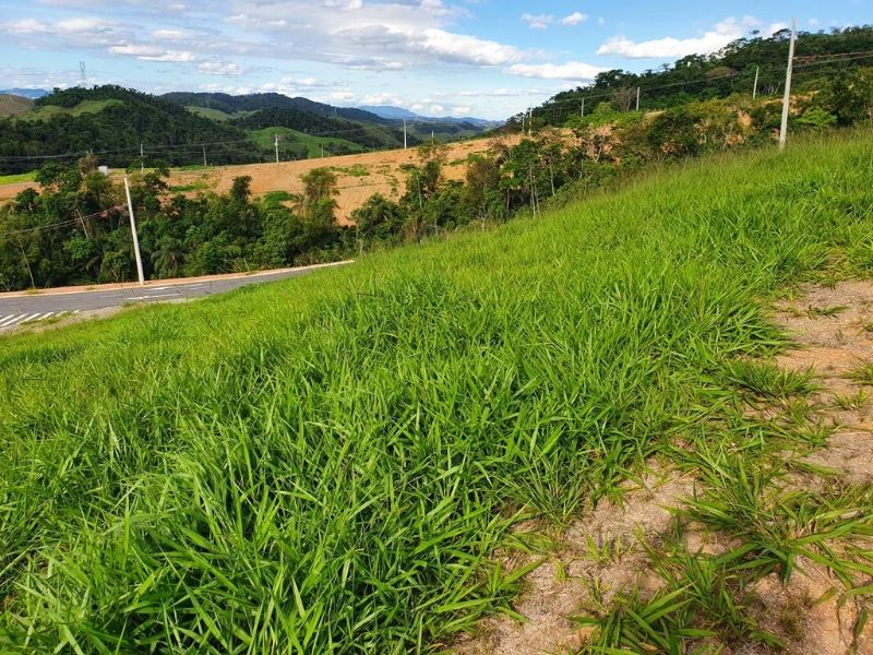 Terreno à venda, 254m² - Foto 3