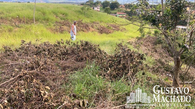 Terreno à venda, 10910m² - Foto 14