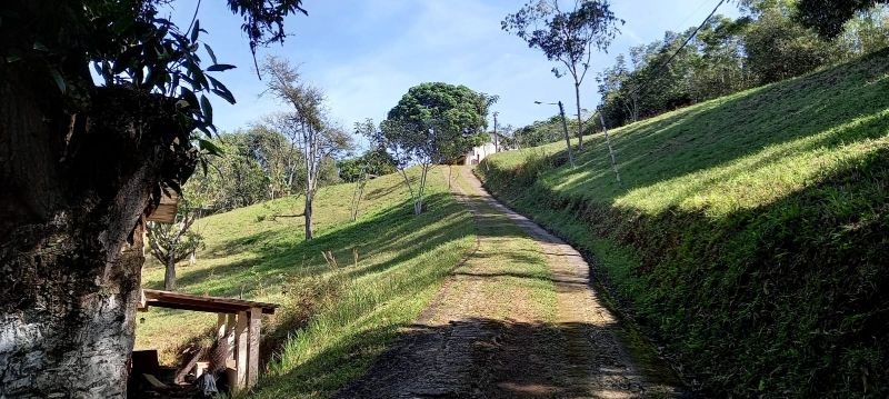 Chácara à venda - Foto 6