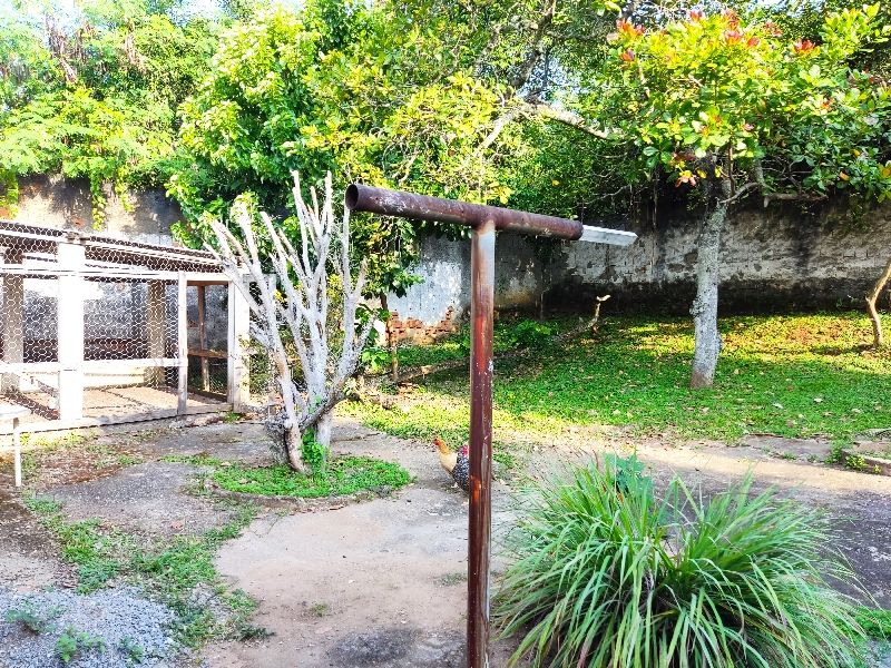 Casa à venda com 6 quartos - Foto 43