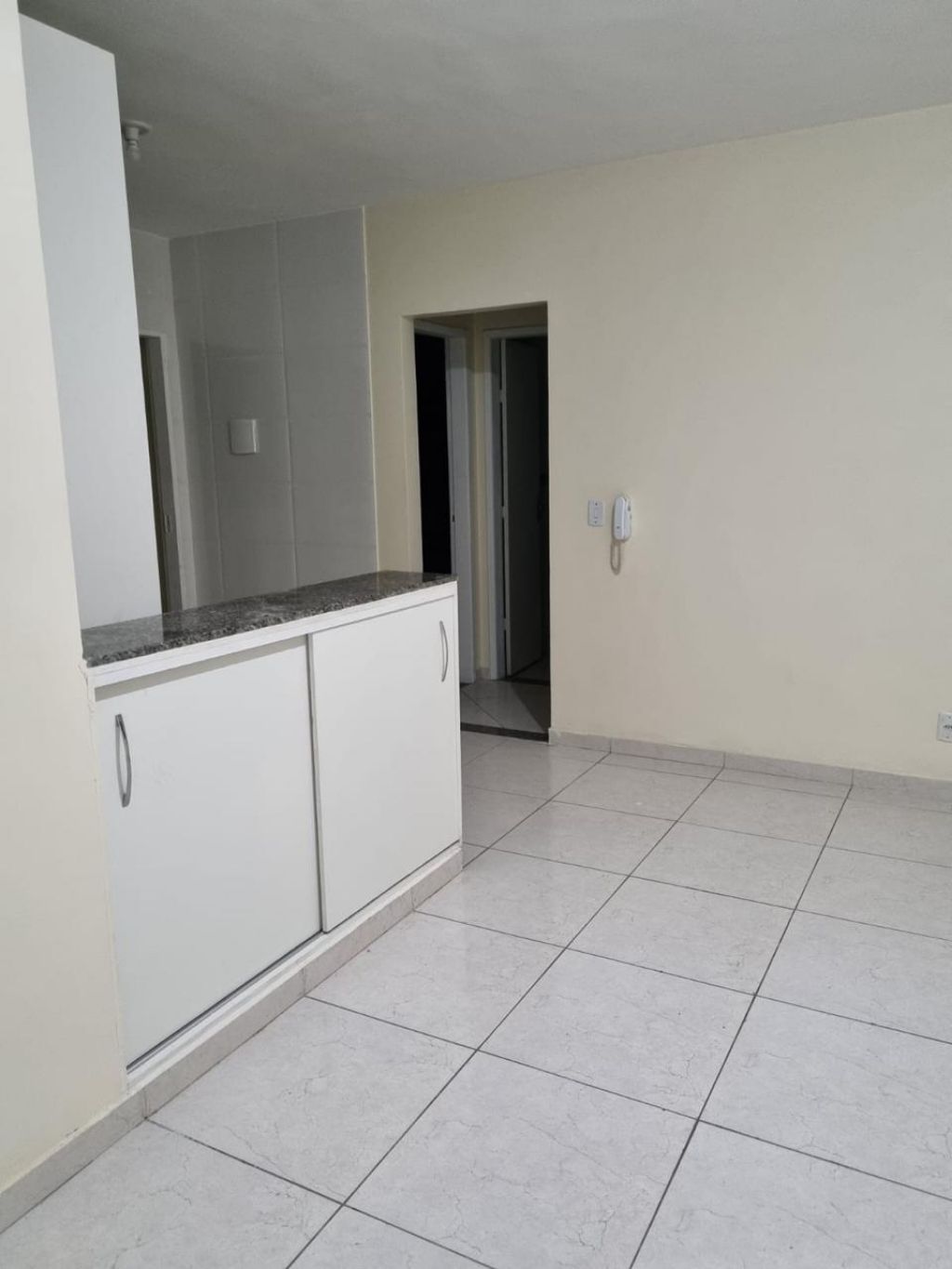 Apartamento à venda com 2 quartos, 50m² - Foto 3